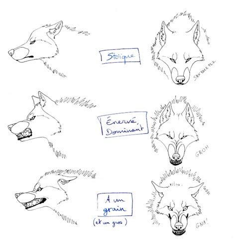 Tuto Comment Dessiner Un Loup 2 Page 4