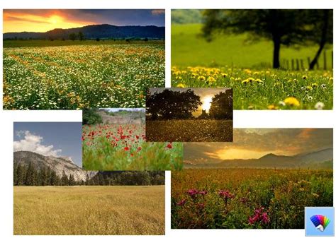 Grasslands Theme For Windows 8