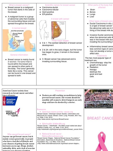 3 Fold Brochure Template Pdf Breast Cancer Cancer