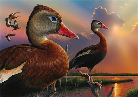 Alabama Artist Eddie Leroy Wins 2019 Federal Duck Stamp Contest San