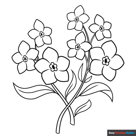 Forget Me Not Flowers Coloring Page Easy Drawing Guides