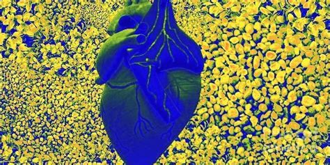 Heart Consciousness Digital Art By Litana Visual Artist
