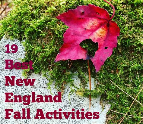 19 Of New Englands Best Fall Activities The Daily Adventures Of Me