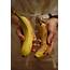 Cup A How Ripe Is Perfectly Banana