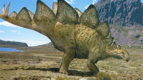 Dinozauri Stegosaurus AnideȘcoalăro