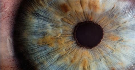 5 Medical Innovations That May Help Cure Blindness