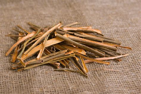 White Willow Bark Tea Benefits Side Effects And Recipe Chinese