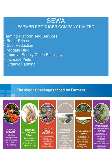 Sewa Working Plan Pdf Organic Farming Land Management