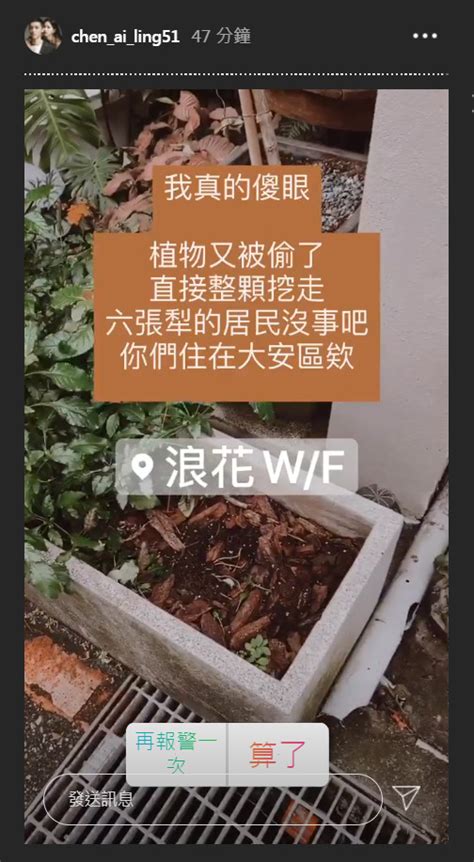 Последние твиты от 木ノ花琳御参り前に手を洗い清める国の人 (@linzhimei). 陳艾琳花店又遭竊「植物整株被挖走」 怒報警：你們住在大安區欸! | ETtoday星光雲 | ETtoday新聞雲