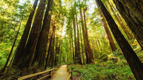 It contained hotels, golf resort and various of advanced facilities. Likely Cancelled: Free National Parks Day | MLK Jr. Day 2019