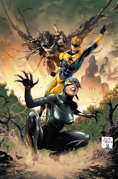 Catwoman — The Catwoman Batman 46 By Tony S Daniel Dc Comics