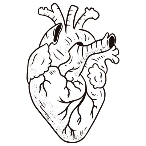 Vector Human Heart Transparent Image Png Arts Images