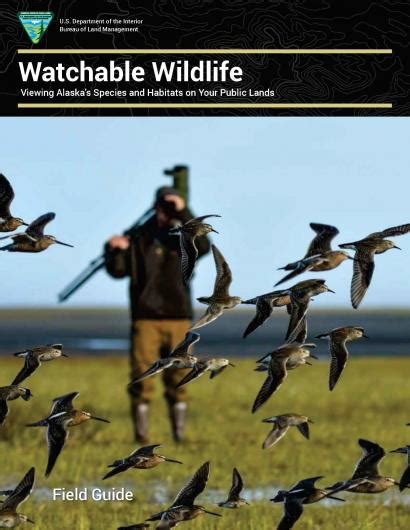 Podcast Watchable Wildlife A Where To Look For What Guide Bureau