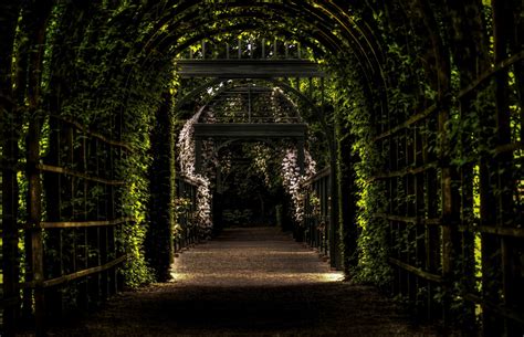 Wallpaper Tunnel Botanic Garden Leaves Resolution3840x2474 Wallpx