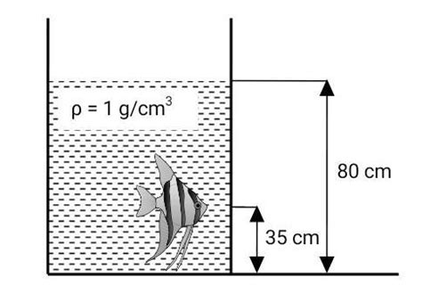 Jika Percepatan Gravitasi Bumi Di Tempat Ini Sebesar M S Maka