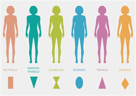 Body Shape Sizes