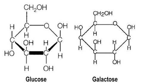 Galactose Lactoglucose