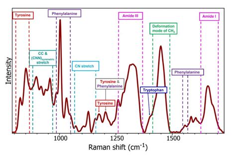 Blood Analysis Using Raman Spectroscopy
