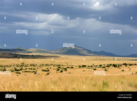 Savannah Landscape In The National Park Of Kenya Africa Stock Photo