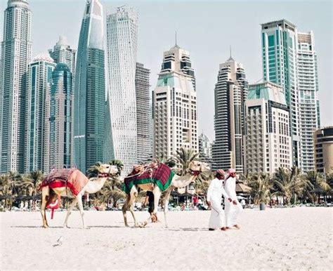 Que Faire à Dubaï Les 10 Attractions 1 à Ne Pas Manquer ‹ Go Blog