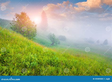Colorful Summer Sunrise In Foggy Valley Stock Image Image Of Outdoor