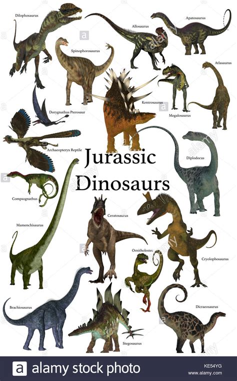 Poster Of Prehistoric Dinosaurs During The Jurassic Period