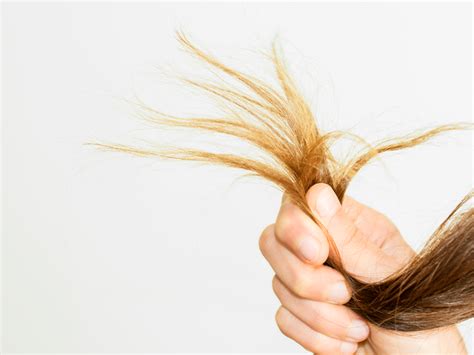 How To Cut Severely Damaged Hair American Salon