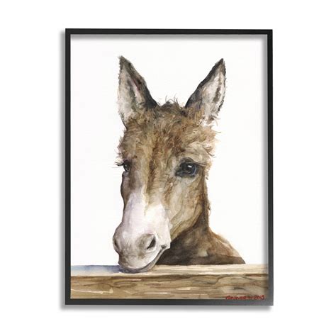 Baby Donkey Framed Art Print Animal Decor