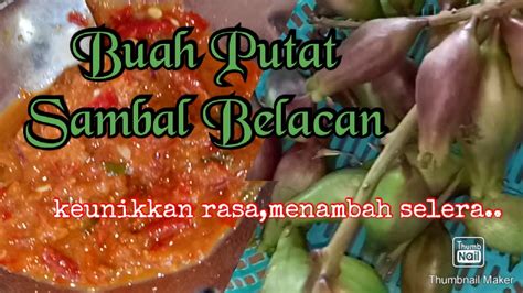 Ulam Buah Putat Cicah Sambal Belacan Makanan Kampung Yang Istimewa Padu Youtube