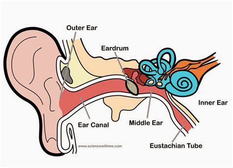Gpent Outer Ear Infections