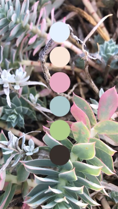 Finding a correct color combination is one of the most important steps in designing a stylish and holistic look. This soft and subtle pastel color combination will be fun ...