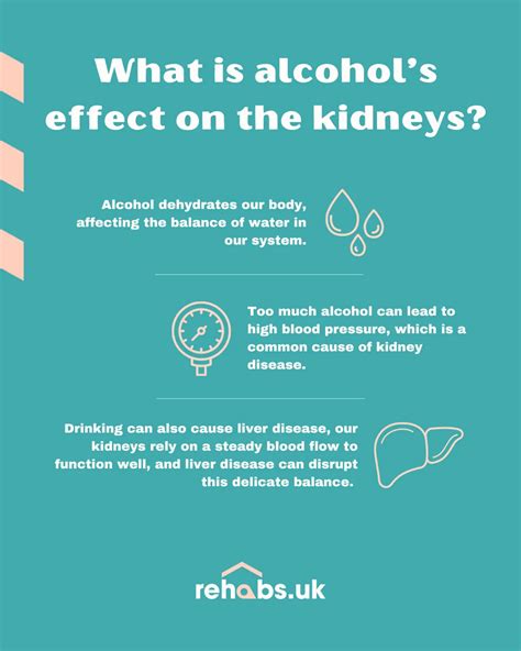 The Harmful Effects Of Alcohol On The Kidneys