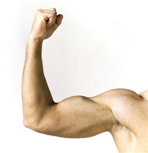 How To Get Big Biceps At 50 Years Old