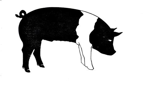 Free Silhouette Pig Download Free Silhouette Pig Png Images Free
