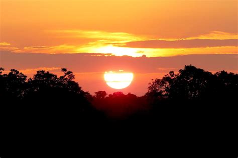 Amazing South African Sunrise Behold The Metatron Sabi Sands The