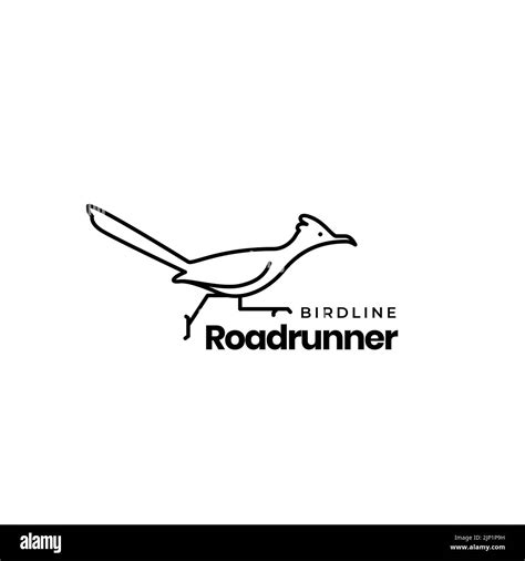 Roadrunner Predator Cut Out Stock Images And Pictures Alamy