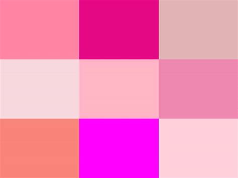 Different Shades Of Pink Color With Names Pink Color Chart Imagesee