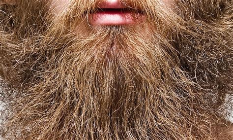 Could Hipster Bushes Be The New Beards It S Time For Pubic Hair To Be Cool Again Sunil Badami