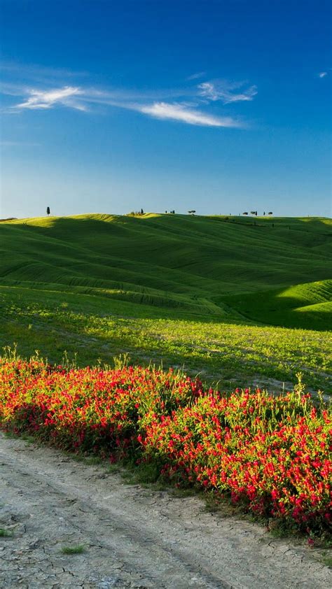 Tuscany Italy Meadows Road Wildflowers Sky Samsung Galaxy S4