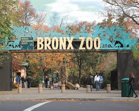 Bronx Zoo Una Aventura Divertida Y Salvaje