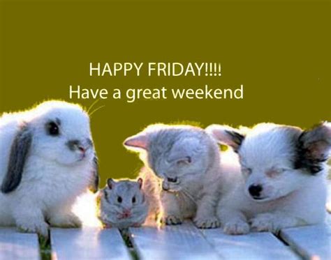 Happy Friday Have A Great Weekend Pictures Photos And Images For