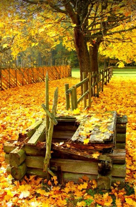 Pin By Marilyn Keeling Kovacs On Autumn Is My Favorite Season Fall