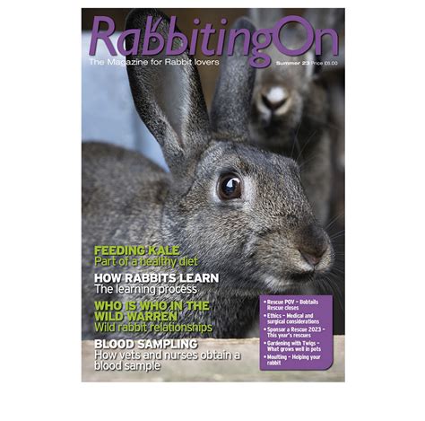 rabbiting on download summer 2023 rabbit welfare shop