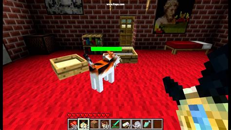 Two sitting cats are stray cats can be tamed using raw cod or raw salmon (see #behavior for how to approach a cat). 30 Second Minecraft: Taming Mo-Creatures Kitty - YouTube