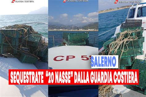Pesca Illegale Sequestri Della Guardia Costiera Medianews24