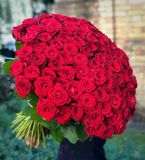 Top 5 Most Romantic Flowers For Valentines Day 2020