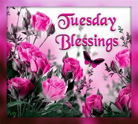 Beautiful Tuesday Blessings Quote Pictures Photos And Images For