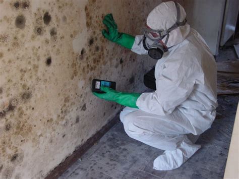 In many ways, black mold acts in the same manner as other microbes. Mold Remediation | Mold Removal (815) 322-1100