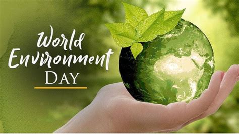 World Environment Day 2023 Beatplasticpollution Takes Center Stage To