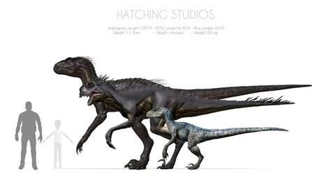 Indoraptor E750 Blue Size Comparison Fandom